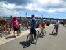 At the bike racks, Folk Festival 2015